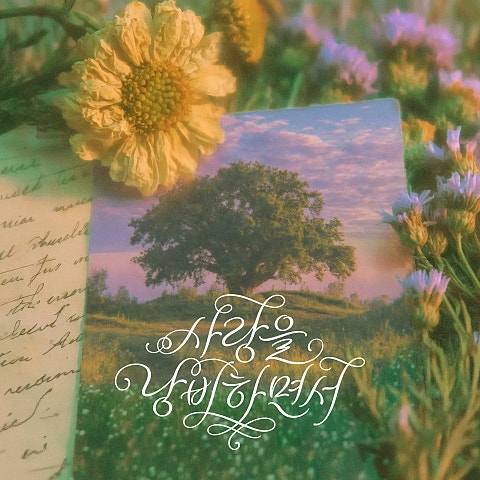 스웨덴세탁소 사랑을 낭비하면서 자켓