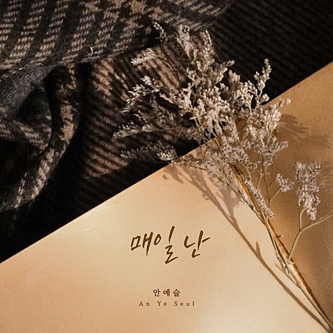 안예슬 매일 난 자켓