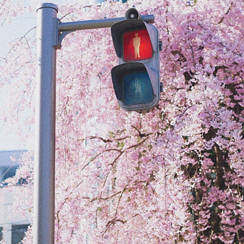 그네, 이서한 기적에 가까운 이야기 ~ 奇跡の物語 ~ 자켓