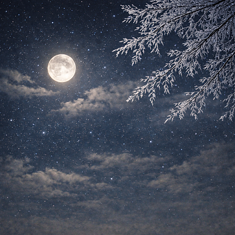 그대라는 노래를 부르면