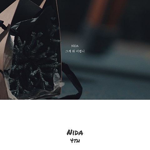 NIDA 그게 뭐 어렵니 앨범 자켓