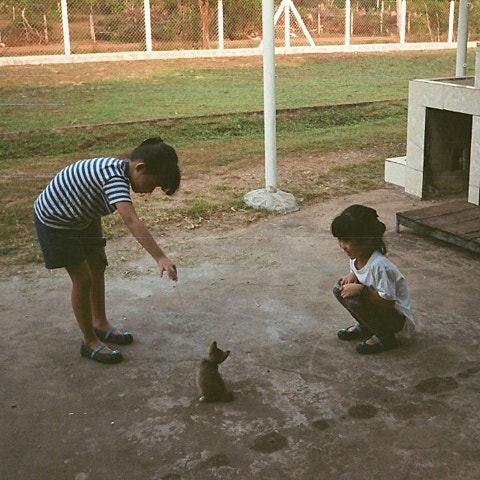 2단지 유성 앨범 자켓