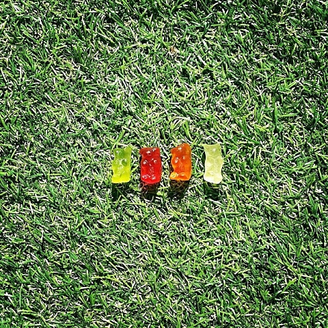 삼치와 이기리 그렇게 시작하는 거야 앨범 자켓