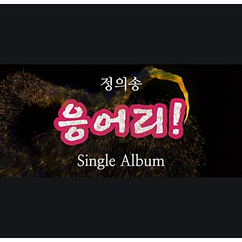 정의송 응어리 자켓