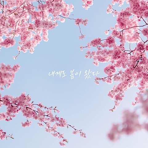 이우 내게도 봄이 왔다 자켓