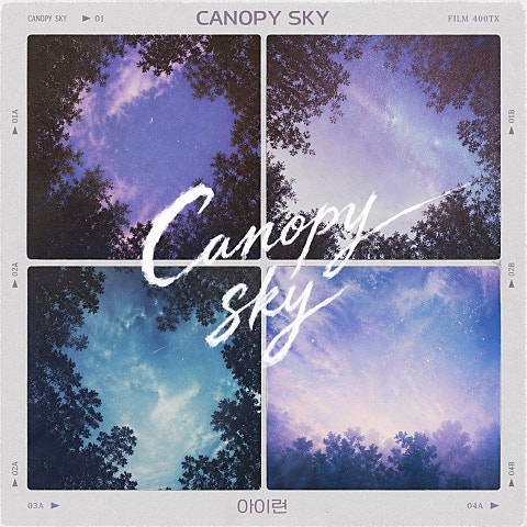 Canopy Sky
