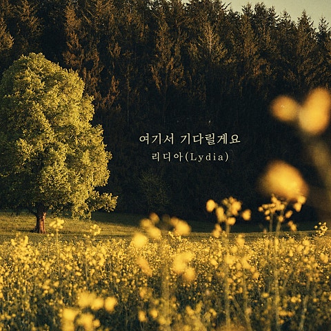 리디아(Lydia) 여기서 기다릴게요 자켓