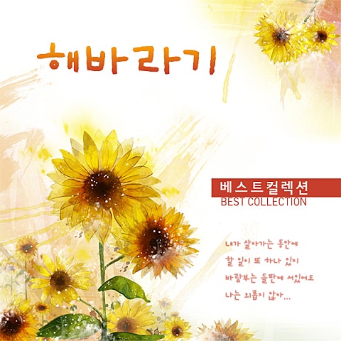 갈 수 없는 나라