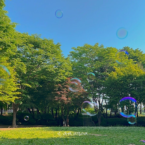 한올 넌 내게 사랑이야 자켓