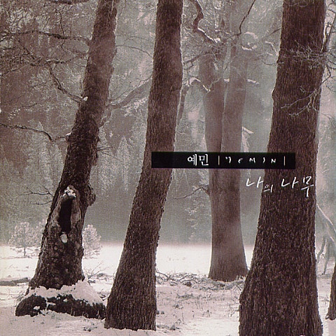 예민 마술 피리 자켓