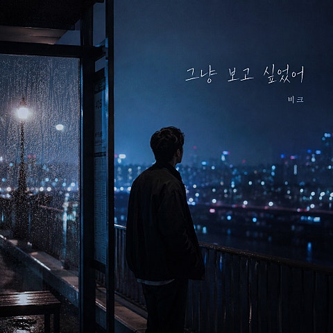 비크(SOTK) 그냥 보고 싶었어 자켓