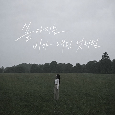 리 쏟아지는 비가 내린 것처럼 자켓