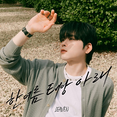 한여름 태양 아래