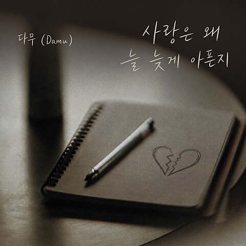 다무(Damu) 사랑은 왜 늘 늦게 아픈지 자켓