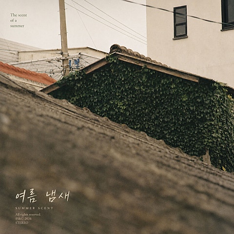 여름 냄새