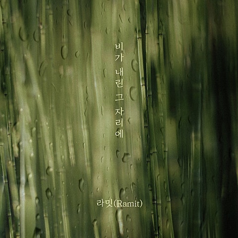 비가 내린 그 자리에