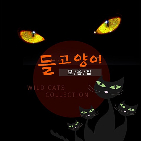 들고양이들 마음 약해서 자켓