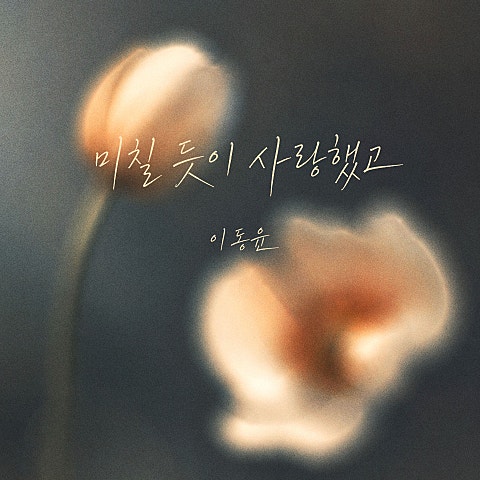 이동윤 미칠 듯이 사랑했고 자켓