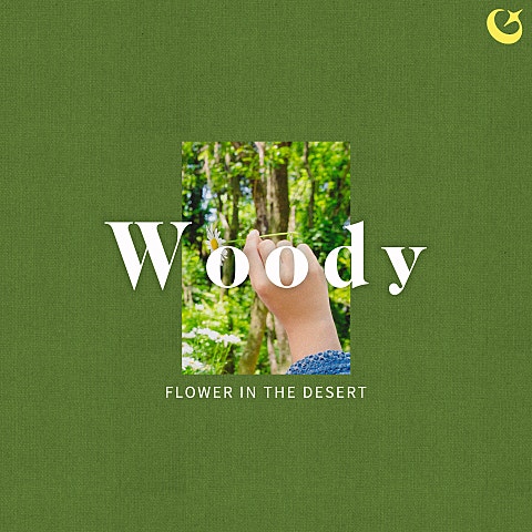 우디 (Woody) Flower in the desert 앨범 자켓