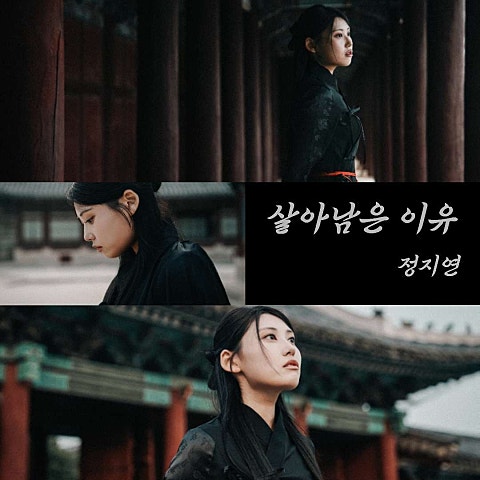 정지연 살아남은 이유 자켓