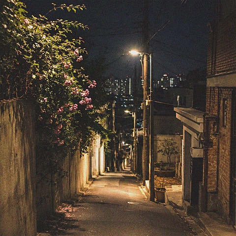 그네, 전수한 데리러 와준 그 밤이 내게는 앨범 자켓