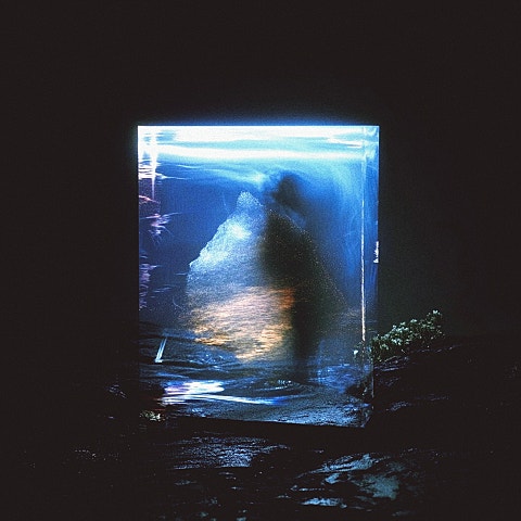 옛그리움(Old Yearning) 사랑해부학 앨범 자켓