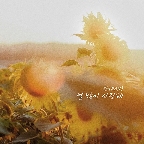 란(RAN) 널 많이 사랑해 자켓