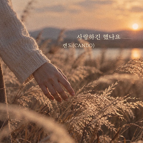 최도영(CANDO) 사랑하긴 했나요 자켓