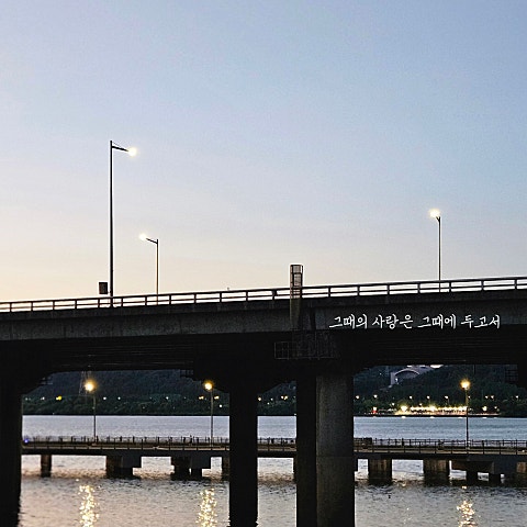파로구공(8590) 그때의 사랑은 그때에 두고서 자켓