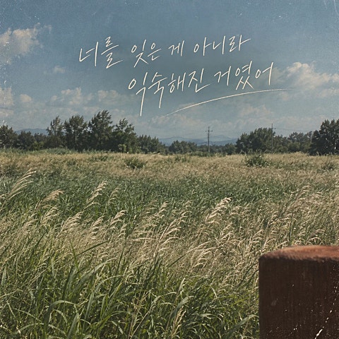 헌책방 너를 잊은 게 아니라 익숙해진 거였어 자켓