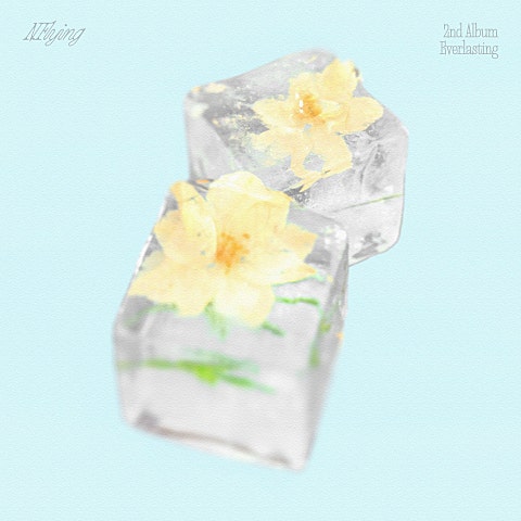 엔플라잉 만년설 (Everlasting) 자켓