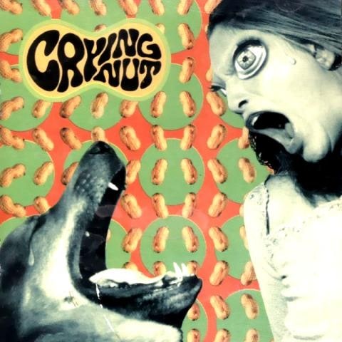 CRYING NUT 말 달리자 자켓