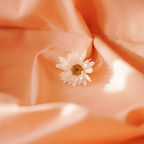 HEY 말해줄래요 자켓