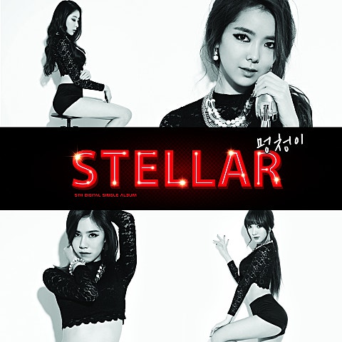 스텔라 멍청이 자켓