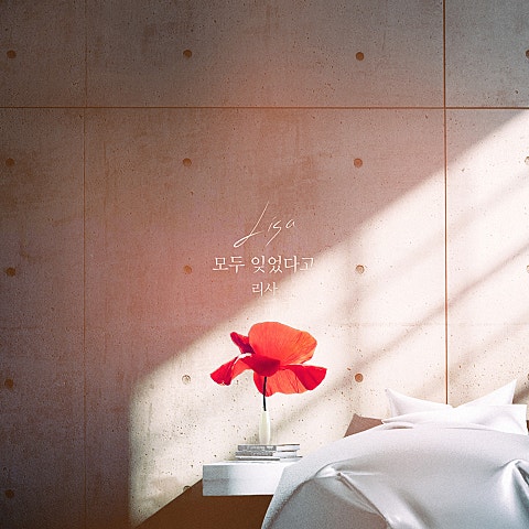 리사 모두 잊었다고 (드라마 자켓