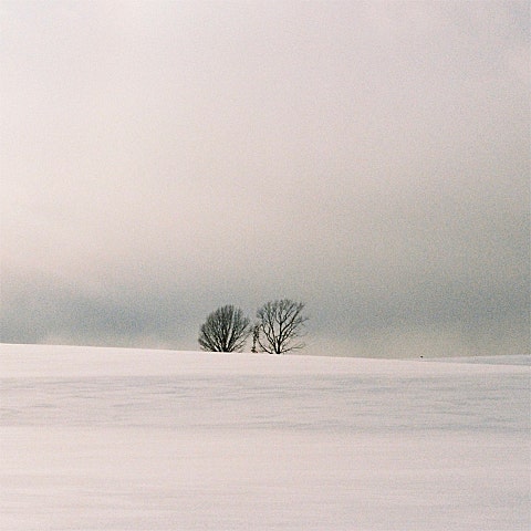 조째즈 모르시나요 (Prod. 로코베리) 자켓