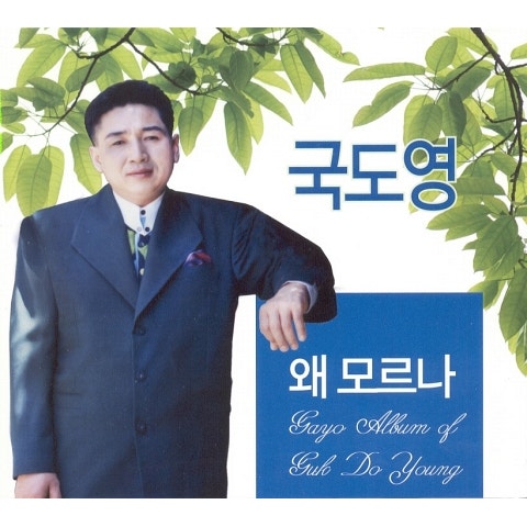 국도영 문을 열어 자켓