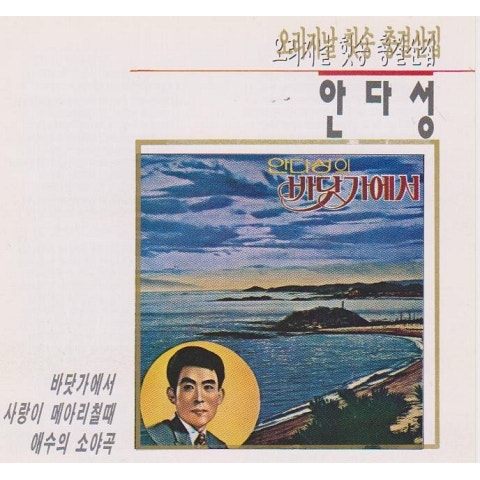 안다성 바닷가에서 자켓
