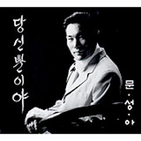 문성아 바라만 보아도 좋았던 사람 자켓