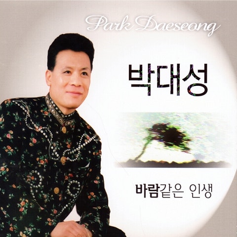 박대성 바람 같은 인생 자켓