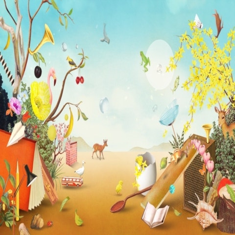 소규모아카시아밴드 개나리 본부 자켓