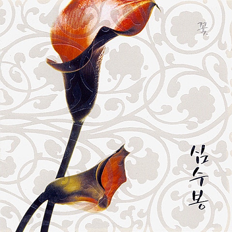 심수봉 개여울 자켓