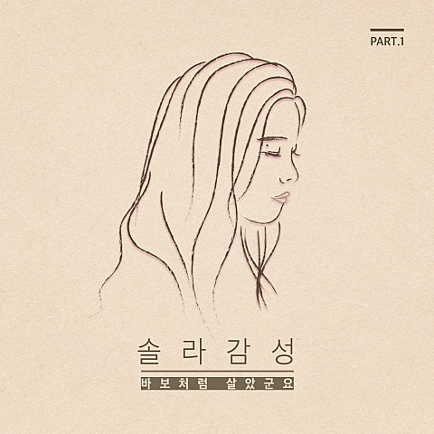 솔라(마마무) 바보처럼 살았군요 자켓