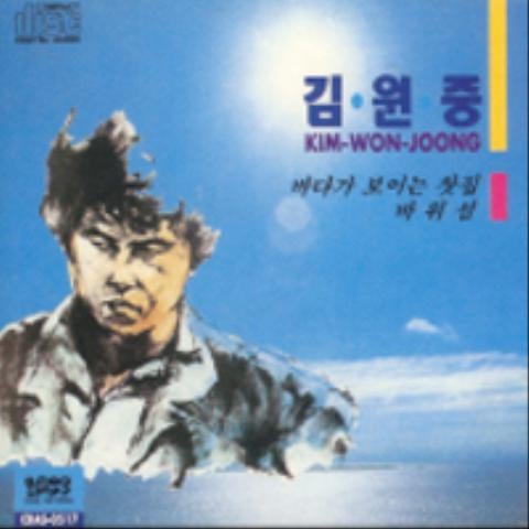 김원중 바위섬 자켓