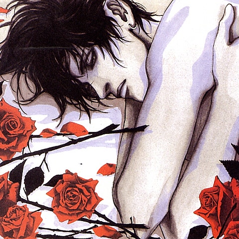 에메랄드 캐슬 발걸음 자켓