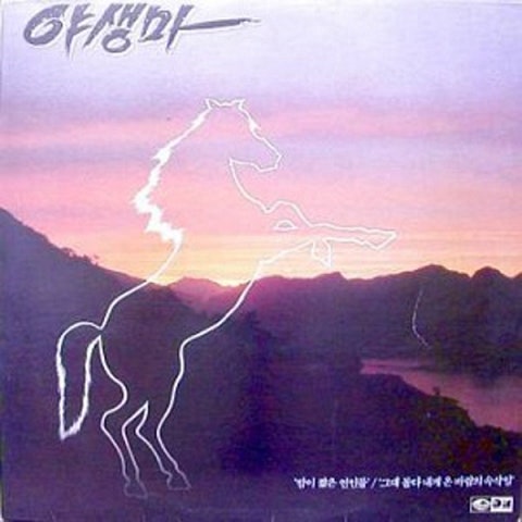 방현용과 야생마 밤이 짧은 연인들 자켓