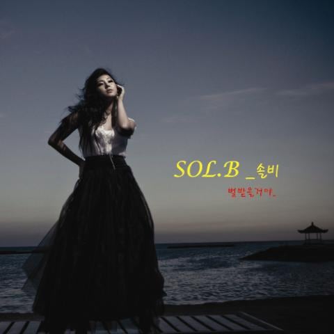 솔비 벌 받을 거야 자켓