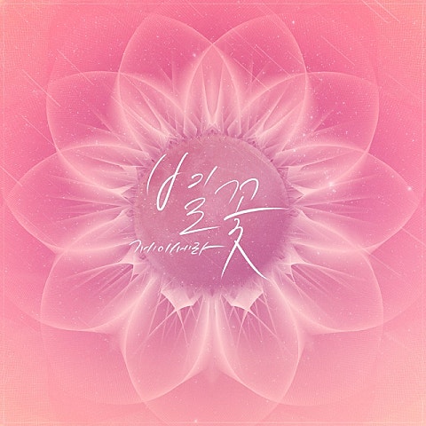 제이세라 별꽃 (드라마 자켓