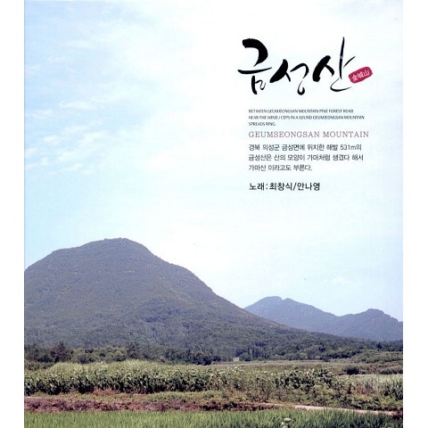 안나영 보고 싶어요 자켓