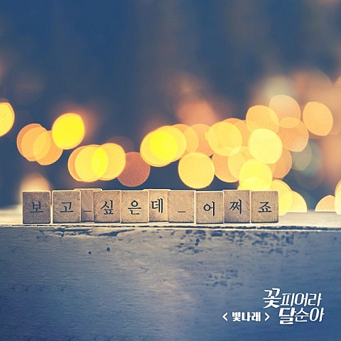 빛나래 보고 싶은데 어쩌죠 (드라마 자켓